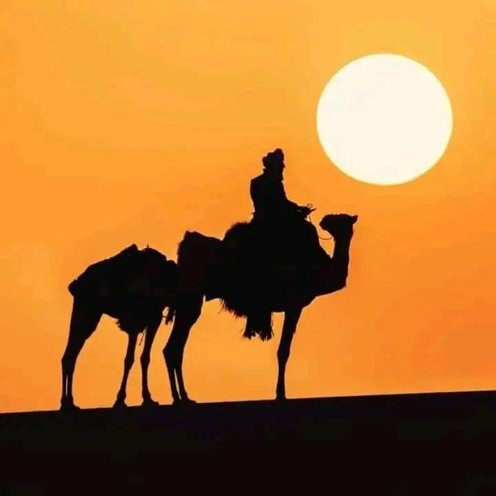 Отель Restcamp Ergchebbi Мерзуга Экстерьер фото